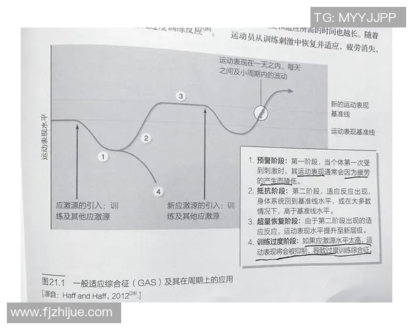 探索369完美拉扯的奥秘与技巧提升你的拉扯能力与运动表现
